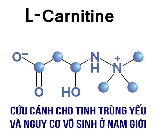 L-carnitine-tang-chat-luong-tinh-trung-nam-gioi