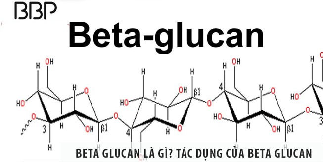 betaglucan-co-tac-dung-gi