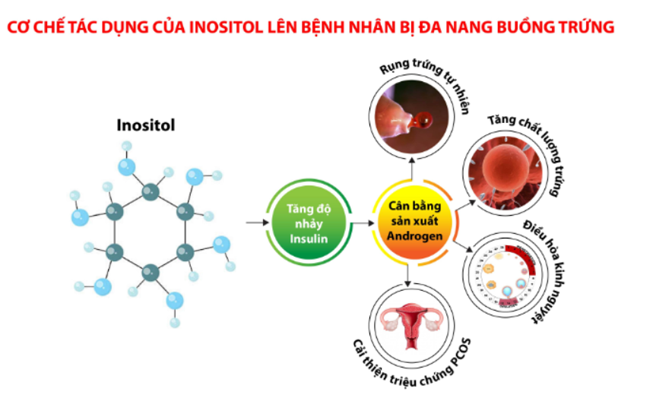 inositol-co-tac-dung-gi