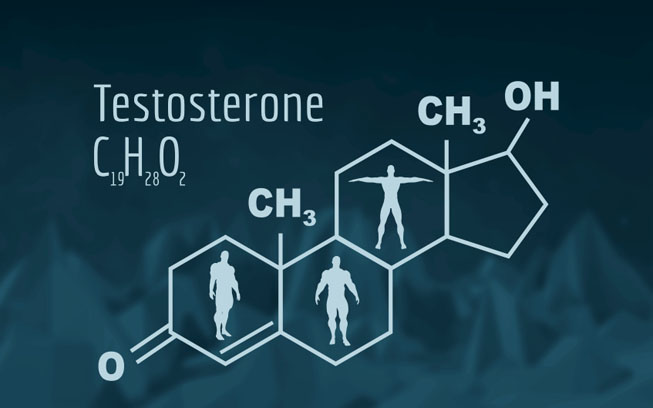 testosterone-la-gi