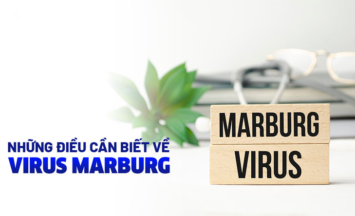 Bệnh sốt xuất huyết do virus Marburg Ở Châu Phi nguy hiểm như thế nào? Triệu chứng và cách phòng bệnh do virus Marburg