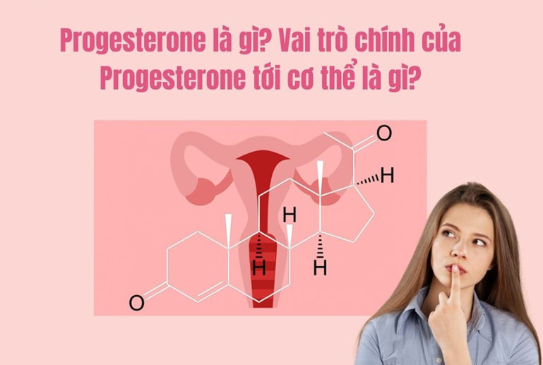 Progesterone là gì? Progesterone có tác dụng gì? (Vai trò của Progesterone trong cơ thể)