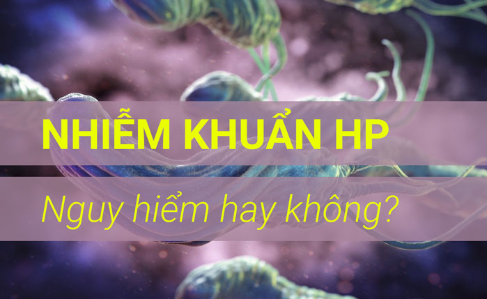 Vi khuẩn HP là gì? Vi khuẩn HP có nguy hiểm không? Vi khuẩn HP gây bệnh gì?