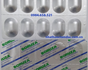 BORUZA® (Tenofovir disoproxil fumarat 300mg)