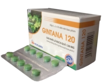 GINTANA 120 (Ginkgo Biloba 120 mg)