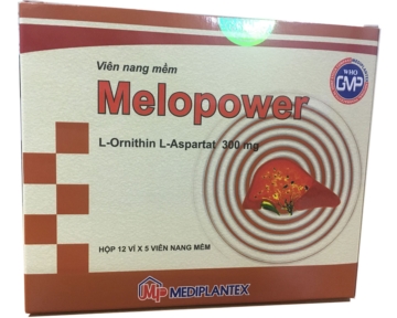Melopower (L – Ornithin L – Aspartat)